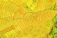 广义省西部山区拥有丰富的自然景观资源，适宜发展体验式旅游。