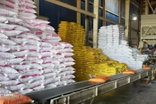 前江省大米出口企业的稻米储备充足。