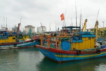 嘉莱省强化渔船管理 迈向可持续渔业发展。