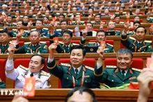 各位代表表决通过越共十四大决议。（图片来源：越通社）