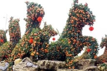 兴安省米处乡兴心园艺户创作的作品《马到成功》，造型为8匹骏马飞奔向前。（图片来源：越通社）