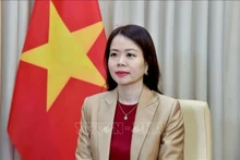 越南外交部副部长阮明姮。（图片来源：越通社）