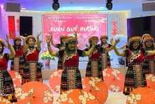 “2026丙午年家乡之春”活动文艺节目。（图片来源：越通社）