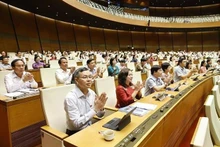 6月16日上午，出席会议的全部466名国会代表投赞成票，通过了《地方政府组织法（修正案）》。（图片来源：越通社）
