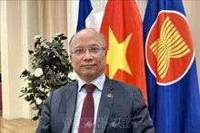 越南驻法国大使丁全胜。(图片来源:越通社)