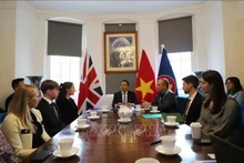 越南驻英大使杜明雄在座谈会上发表讲话。