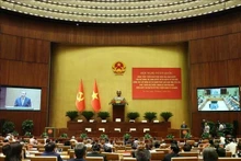 越共中央总书记苏林在贯彻越共中央政治局第66-NQ/TW和第68-NQ/TW决议全国会议上发表讲话。（图片来源：越通社）