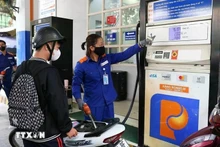 附图。（图片来源：越通社）