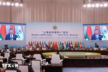2025年上海合作组织天津峰会通过《天津宣言》。