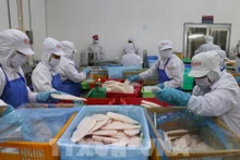 2025年前5个月，来自进出口活动的国家预算收入达1825180亿越盾。（图片来源：越通社）