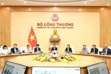 越南与美国双边对等贸易协议部长级谈判以线上形式举行。（图片来源：越通社）