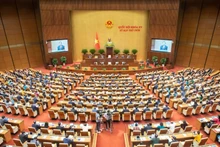 第十五届国会第十次会议全体会议场景。（维灵 摄）