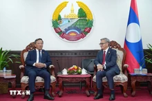 老挝外交部长通沙万·丰威汉会见越南驻老挝大使阮明心。(图片来源:越通社)
