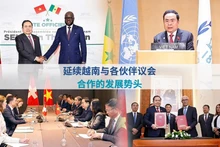 延续越南与各伙伴议会合作的发展势头