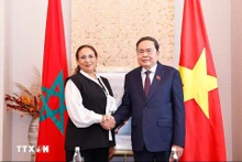 越南国会主席陈青敏会见摩洛哥－越南友好议员小组主席。