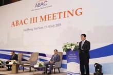 越南国家主席梁强在会议上发言。