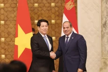 越南国家主席梁强和埃及总统阿卜杜勒·法塔赫·塞西。