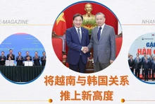 将越南与韩国关系推上新高度