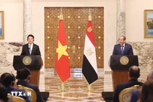 越南国家主席梁强与埃及总统塞西共同会见记者。