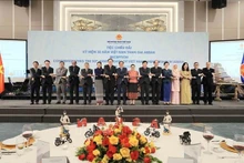 政府副总理、外交部长裴青山与各位代表合影。（图片来源：越通社）