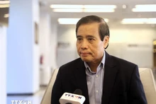 新加坡李光耀公共政策学院教授武明姜。（图片来源：越通社）