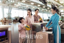 附图。（图片来源：Bnews/Vnanet.vn）