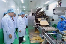 在老越侨企业日益巩固其在经济发展中的重要作用。（图片来源：越通社）