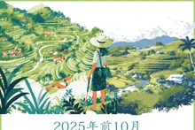 2025年前10个月越南的国际游客到访量同比增长 21.5%【图表新闻】