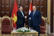 越南国家主席梁强会见埃及参议院议长阿卜杜瓦哈卜·阿卜杜拉齐格。