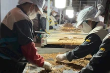 香料生产流水线用于出口。