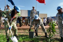 越南第3号工兵队在营区种植绿色植物。