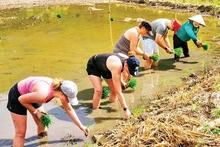 外国游客在宁平省参与独特的体验活动。