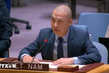 越南常驻联合国代表团副团长阮黄原公使衔参赞。（图片来源：越通社）