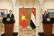越南国家主席梁强与埃及总统塞西共同会见记者。（图片来源：越通社）