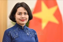 越南驻芬兰兼驻爱沙尼亚特命全权大使范氏清平。（图片来源：越通社）