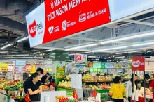 附图。（图片来源：越通社）