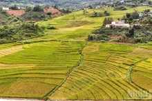 新广义省地域辽阔，从高山、边境到海岛，山海相连，风光壮丽，为将旅游业打造成为新阶段经济增长的重要动力奠定了坚实基础。