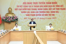 越南政府总理范明正主持召开全国打击走私、假冒伪劣商品生产和销售工作视频会议。
