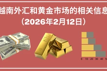 越南外汇和黄金市场的相关信息【图表新闻】