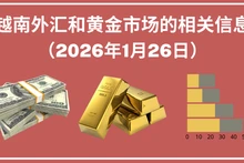 越南外汇和黄金市场的相关信息【图表新闻】
