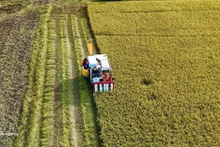 安江省进行出口模式转型。