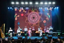 文化交流活动上举行的文艺节目。