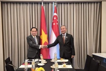 越共中央政治局委员、外交部长黎怀忠会见新加坡外交部长维文。