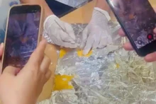 海关力量在新山一国际机场检获4.5公斤可卡因。