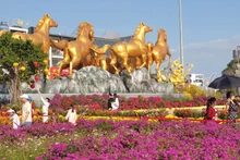 “遗产之春——数字奇观”花卉大道在广宁省开幕。