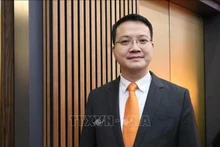 越南驻德国大使馆公使衔参赞、国际经济学专家邓黄玲。（图片来源：越通社）