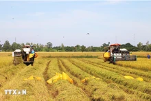 突破性的政策以及紧迫的实施节奏给民众带来了对新生活质量的诸多期望