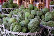 在同奈省统一乡的一个榴莲集散点，榴莲正在被集中堆放。