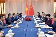 越南政府副总理兼外交部长裴青山同中国外交部长王毅举行会谈。（图片来源：越通社）