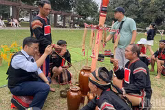 越南各民族文化日系列活动将于4月19日在民族文化旅游村举行